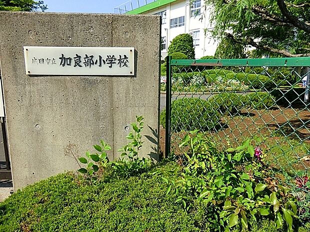 加良部小学校(1930m)