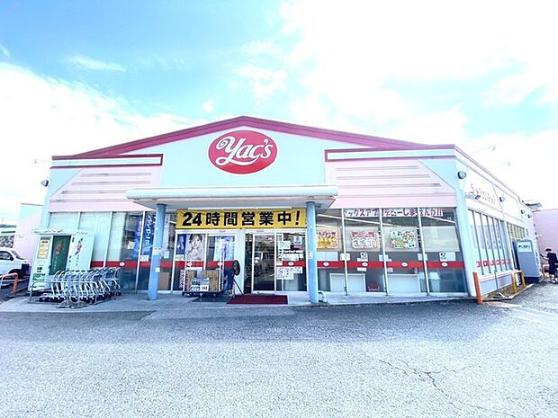 ヤックスドラッグ 成田店(1120m)
