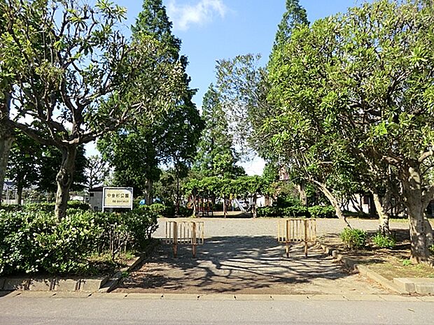 中金杉公園（74m）
