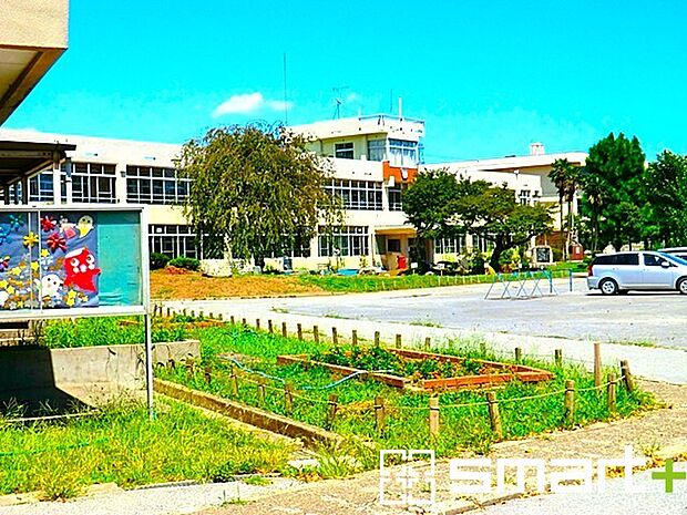 田中小学校（300m）