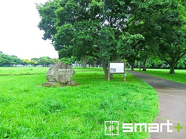 姥山貝塚公園（500m）