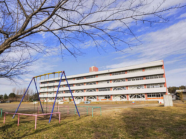 八木南小学校（750m）