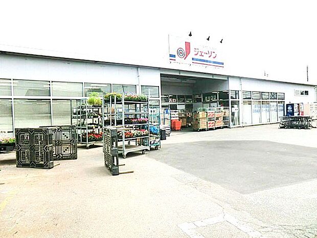 ジェーソン野田店(600m)