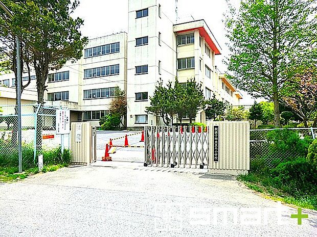 我孫子市立並木小学校（300m）