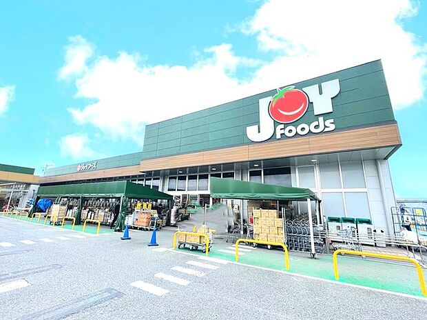 ジョイフーズ　関宿次木店（1100m）