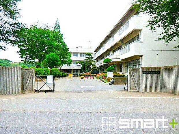 野田市立尾崎小学校（800m）
