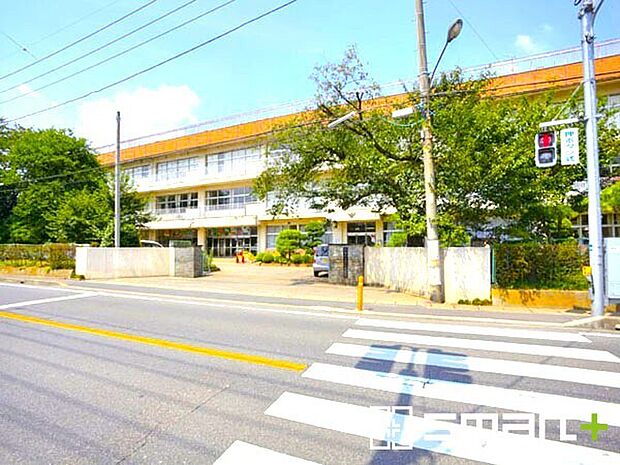 野田市立第二中学校(1000m)