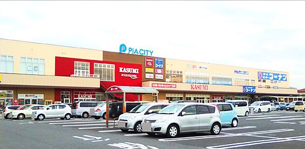 ピアシティ柏中新宿店(1900m)