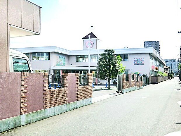 柏さくら幼稚園(1100m)