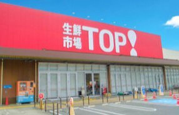 生鮮市場TOP新夏見店(640m)