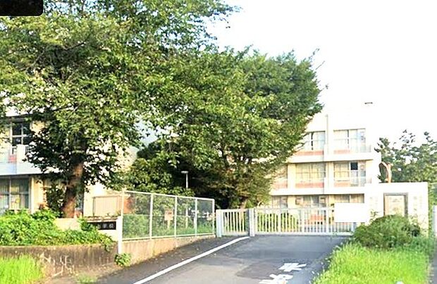 白井市立南山小学校(500m)