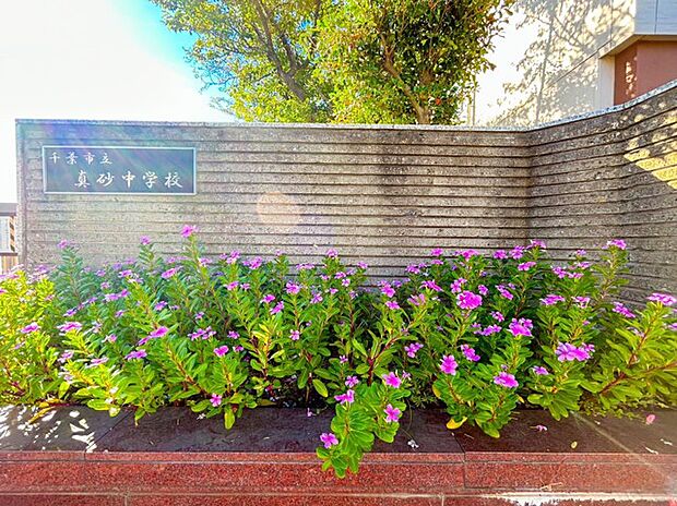 千葉市立真砂中学校（550m）