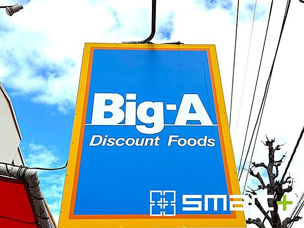 Big-A千葉真砂店（310m）