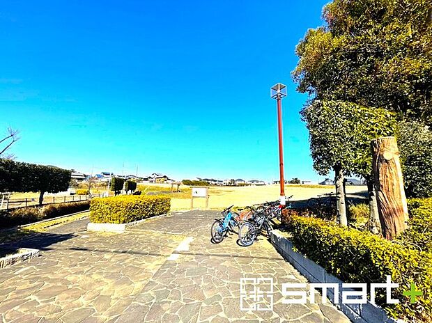 山崎貝塚町公園（800m）