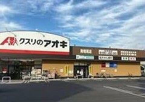 クスリのアオキ南増尾店（1200m）
