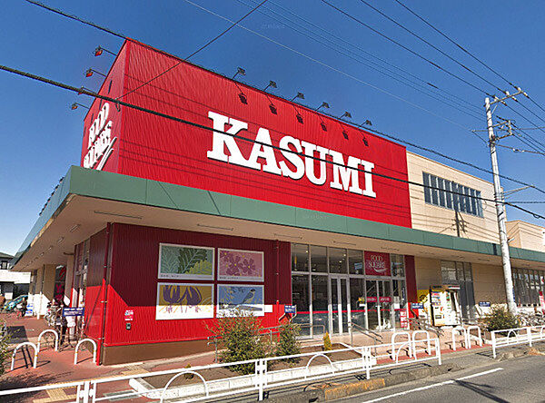 カスミフードスクエア柏千代田店（1500m）