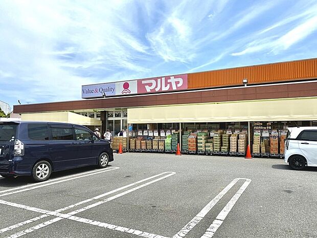 マルヤ 沼南店(540m)