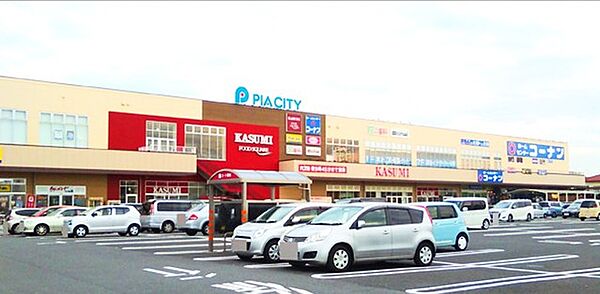 ピアシティ柏中新宿店（450m）