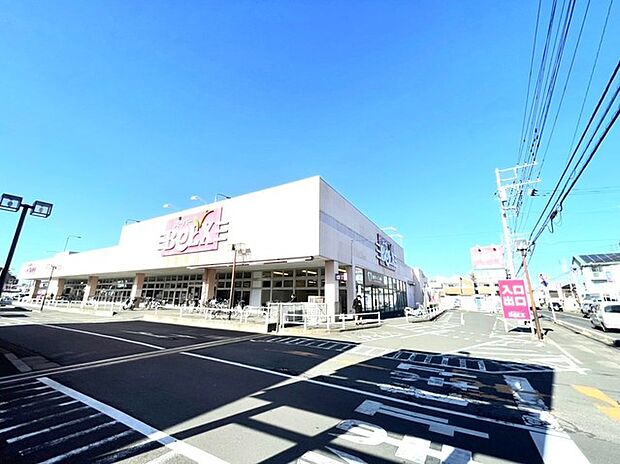ベルクス南柏店(750m)