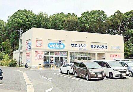 ウエルシア柏名戸ケ谷店(700m)