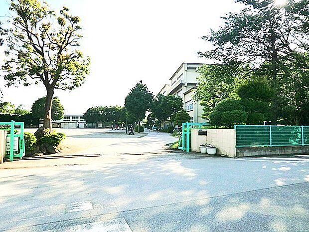柏第八小学校(550m)