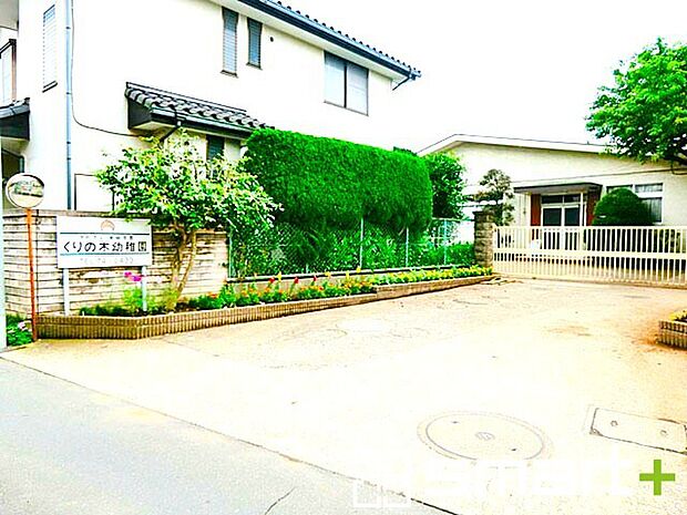 くりの木幼稚園(950m)