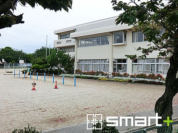 我孫子市立新木小学校(1100m)