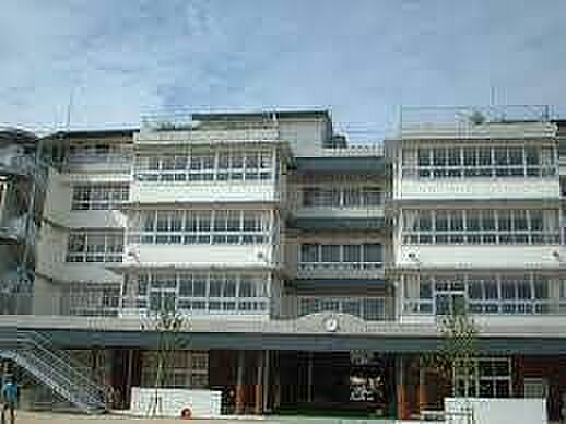 岡山市立岡山中央小学校岡山市立岡山中央小学校 1230m