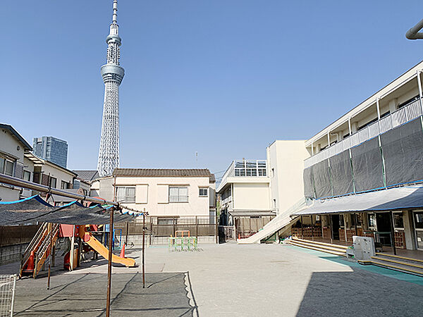 いっぱい遊んで、いっぱい考えて、いっぱい学んでのびのび育つ。