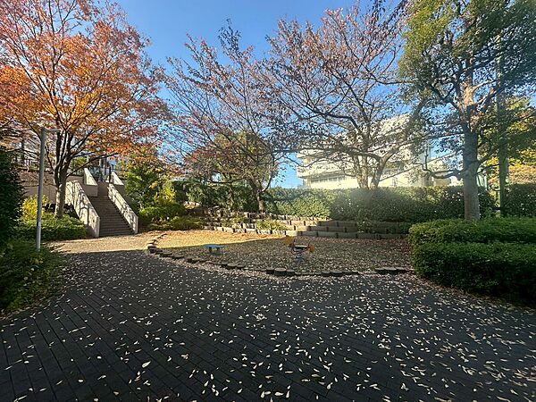四季折々の表情を見ることができます♪