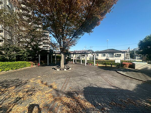広場でゆっくり過ごすのも良いですね♪