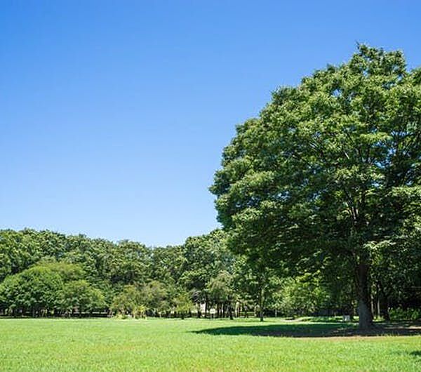 お子様とすぐに遊びにいける距離に公園があるのは嬉しいですね♪