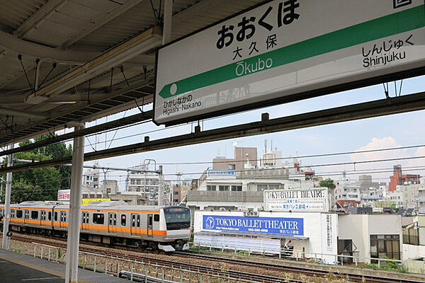 駅周辺はコリアンタウン（新大久保）に隣接しており、韓国料理はもちろん、インド、ベトナム、ネパールなど本格的なエスニック料理や多国籍食材店が充実しています。