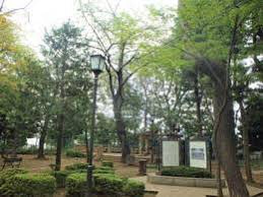 緑に癒やされる公園が徒歩圏内。日常にゆとりを与えてくれます。