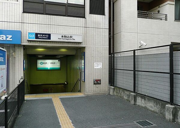 駅前には深夜まで営業している「まいばすけっと」があるほか、白山駅近くの「三徳」や「コープ」で新鮮な生鮮食品が揃います。