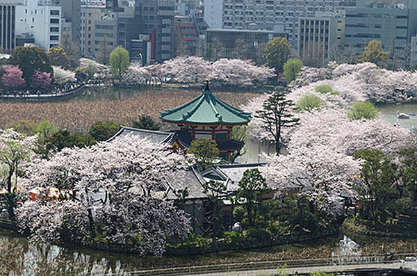 広大な緑を庭のように使いこなす贅沢。休日が待ち遠しくなるような、上質な住環境が整っております。
