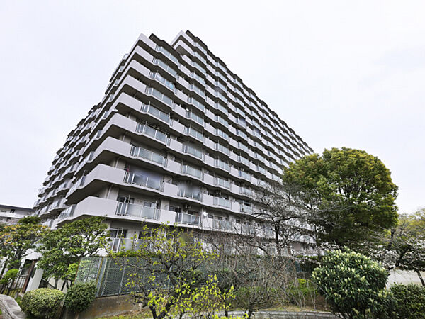 外観：313004699253