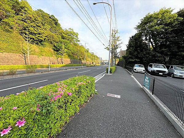 周辺道路