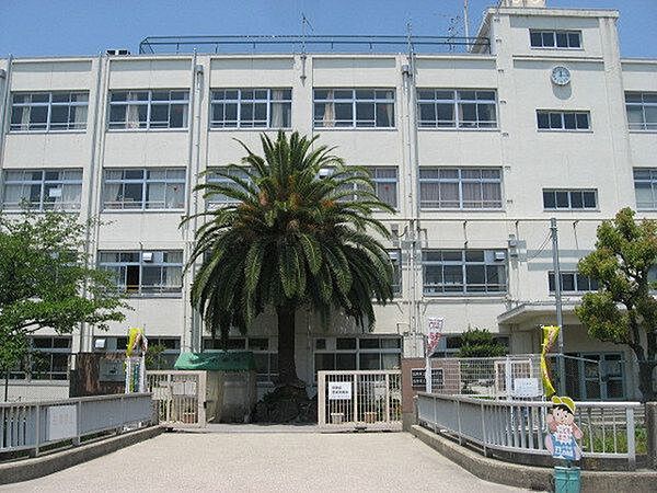 高槻市立芝生小学校 560m