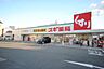 周辺：スギ薬局加美中店 310m