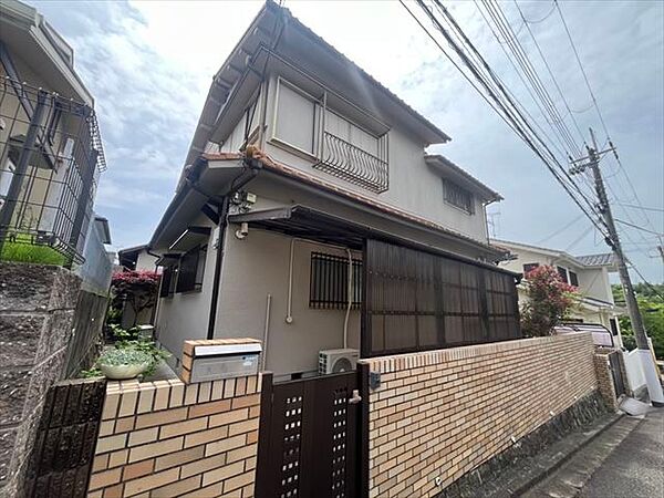 2026年5月撮影