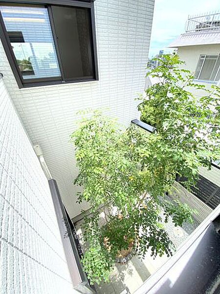 1階の中庭スペースにはシンボルツリーがございます。