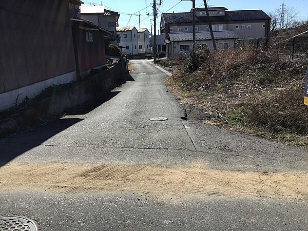 全景