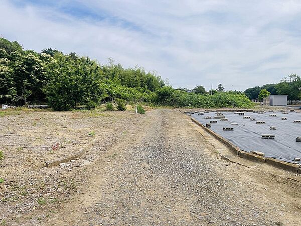 西側接道