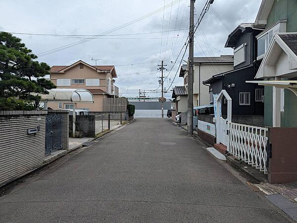 前面道路と周辺です