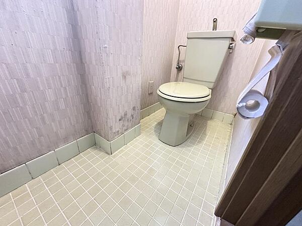 公共下水のトイレです♪