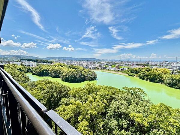 バルコニーからの眺望は絶景の一言です！