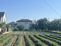 埼玉県白岡市高岩
