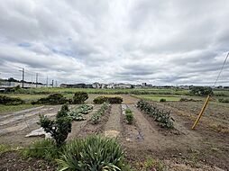 埼玉県白岡市寺塚