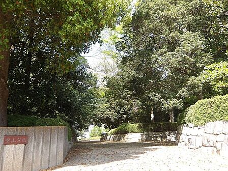 堂山公園★自然が感じられる静かな公園★ 180m